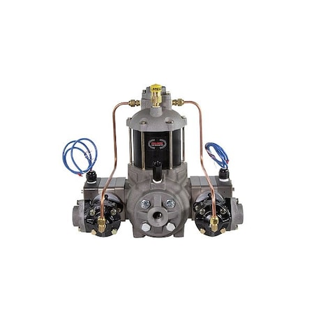 Fill-Rite Positive Displacement Flowmeter, 3/4 inSz TS06AS84AUPXXT9N