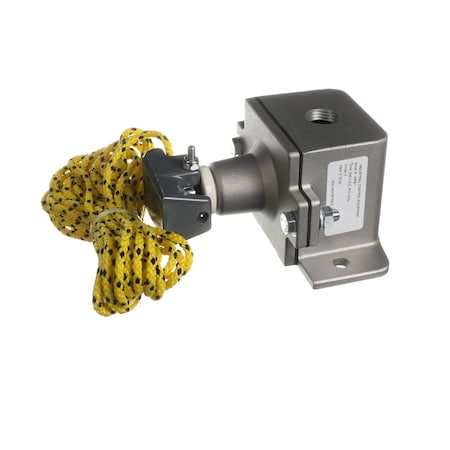 Jamison Switch Assembly without Heat, 240VAC, 3A, Complete, WPS 113-218