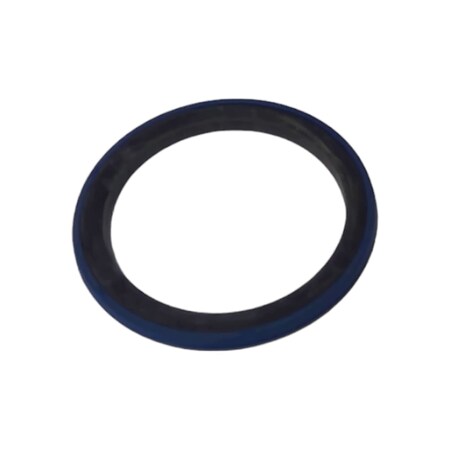 Cnh SEAL, CNH OEM 85806559 85806559