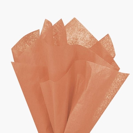 Nashville Wraps Terra Cotta Color Tissue Paper, 20x30", 480PK CT3TC