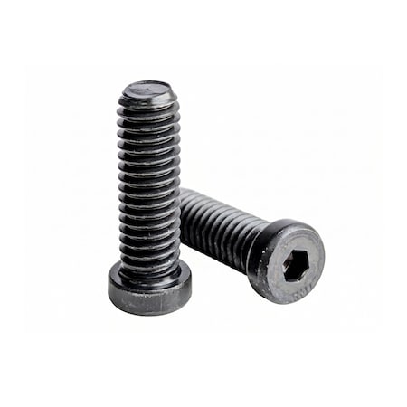 Zdb Industrial 1/4-20 x 3/4in Low Socket Head Cap Screw, Plain 10001921