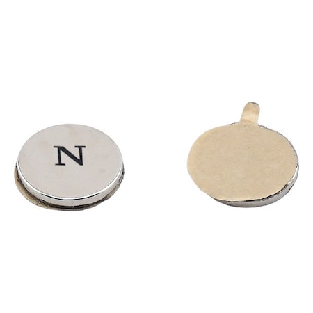 Zoro Select Rare Earth Magnet, Silver, White FTND50N