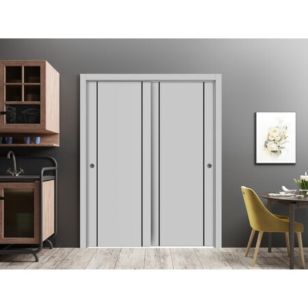 Sartodoors Sliding Closet Bypass Doors, Planum 0017 Matte Grey and Aluminum Strips, Sturdy Rails Moldings Trim PLANUM0017DBD-GRE-60