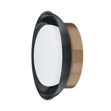 Troy Lighting Arnie 2 Light Flush Mount 14.25 In. Patina Brass/Black C2014-PBR/GBK