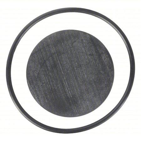 Asco Rebuild Kit For V043 172009