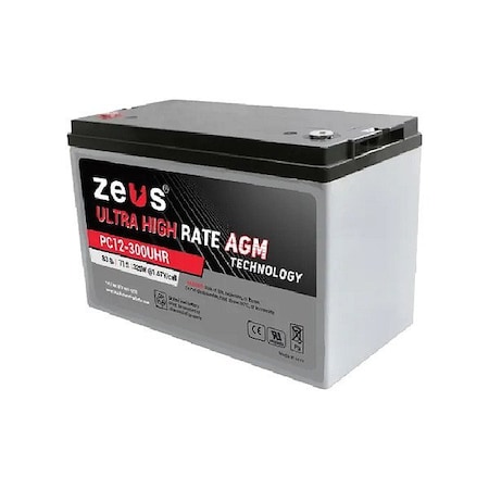 Zeus Battery Products 300W 12v Ultra High Rate SLA Battery PC12-300UHR
