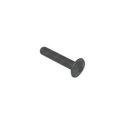 Raymond REPLACEMENT SCREW 5-007-027