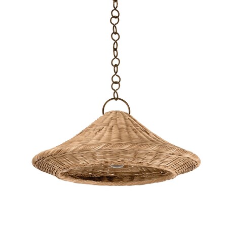 Hudson Valley Lighting Baychester 1 Light Pendant 22 In. Bronze Leaf 7422-BRL