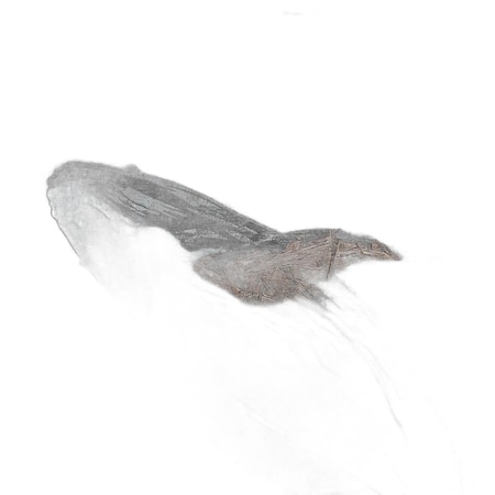 Homeroots 8' X 10' Brown And Denim Blue Animal Print Washable Indoor Outdoor Area Rug 630960