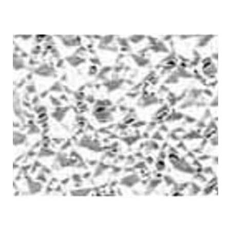 Plaskolite 2x4 WHT Ceil LGT Panel 1420084A