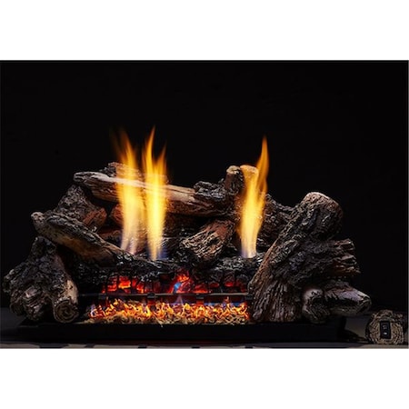 Terreno 18 in. 29000 BTU IntelliFire Plus Glow Getter Burner Propane Gas with Remote Control TE2215377