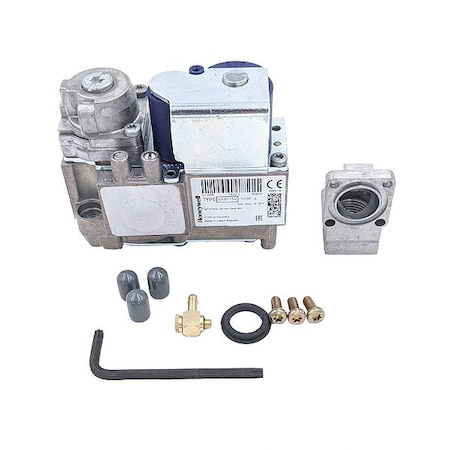 A.O. Smith Controls for Water Heaters 100093638