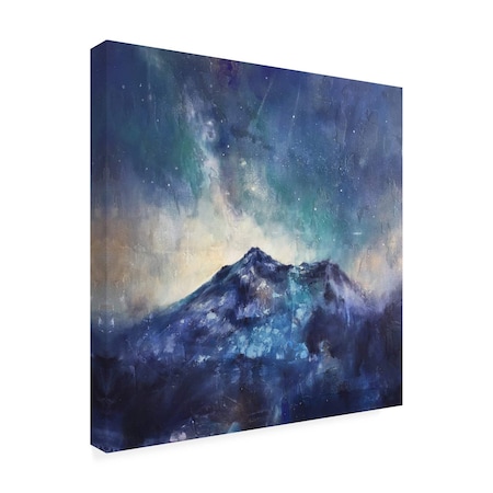 Trademark Fine Art Outdoor Canvas Art - Jennifer Taylor Art 'Mountain Stars' Wall Art for Patios, or Gardens GRL00581-OC1414WR
