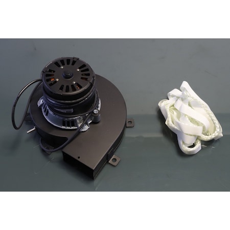 Rheem 120V Induced Draft Blwr W/Gskt 70-21496-83