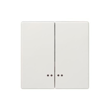 Siemens DELTA style, titanium white Rocker switch with window for two-circuit switch 5TG7158