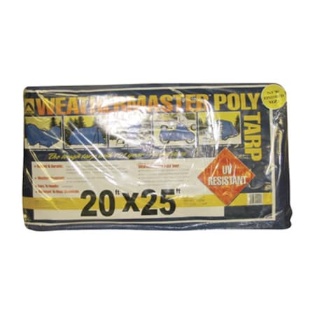 Dize Blue Poly Tarp - 20 x 25 ft., Model No. PT2025 117690