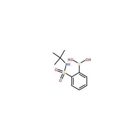 Ak Scientific 2-(t-Butylamino)sulfonylphenylboronic acid (1g), CAS 150691-04-6 X0536-1g