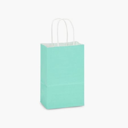 Nashville Wraps Aqua White Kraft Shopping Bags Rose 5.5x3.25x8.5, 100PK AQHRW