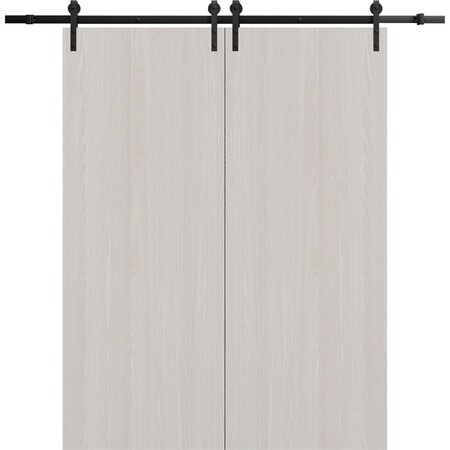 Sartodoors Modern Double Barn Door 36 x 84 inches, BASIC 3001 Ash Franko, 13FT Rail Track Set, Solid Panel I BASIC3001DB-YAFR-3684