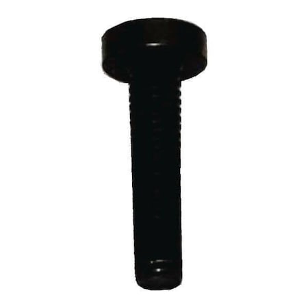 Bosch Screw 10004531