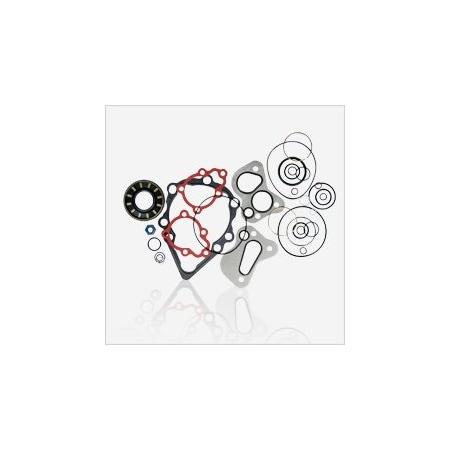 Danfoss Aftermarket Parts DFS-4510017, M46 OVERHAUL GASKET-SEAL KIT DFS-4510017