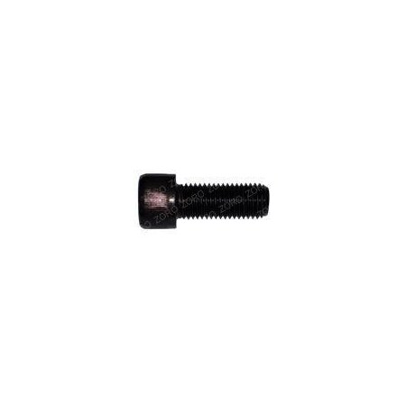 Cascade REPLACEMENT BOLT, SOCKET HEAD M16-2.0 X 40 769575