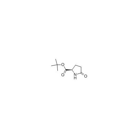 Ak Scientific D-Pyroglutamic acid tert-butyl ester (1g), CAS 205524-46-5 W4325-1g