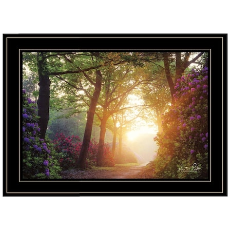 Homeroots Color Overdose 2 Black Framed Print Wall Art 405490