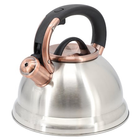 Mr. Coffee Flintshire 2.2 Quart Stainless Steel Whistling Tea Kettle in Silver 143790.01
