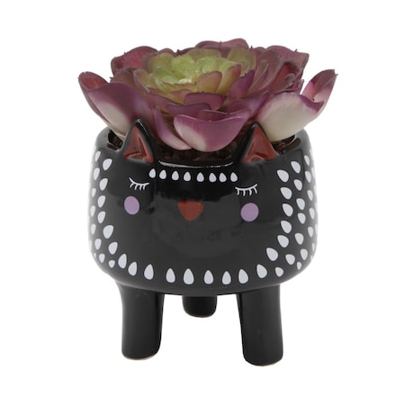 Flora Bunda Faux Succulent in 4.75' Small Black Cat Ceramic Planter CS2634E-BLK