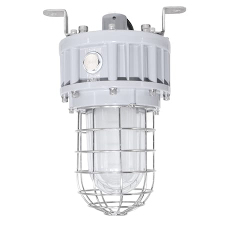 Led Lighting Supply 40W Explosion Proof Jelly Jar LED Light, 5200 lm, Class 1 Div 1, 5000K, 100-277V MLLG-E-LED-EXPLG-40-50-C1D1