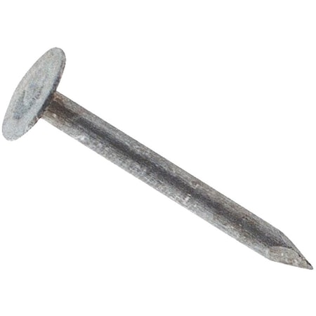 National Nail NAIL ROOF EG 2 in.25# 0132139