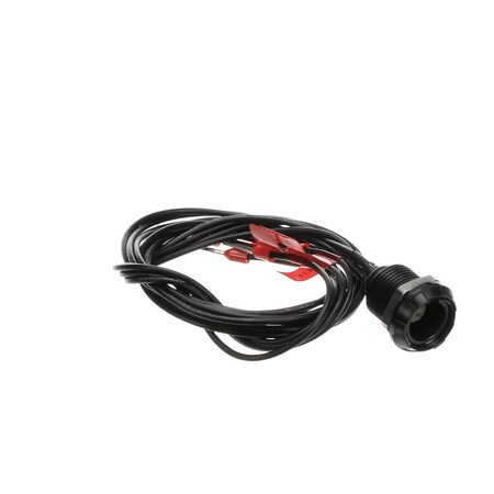 Blodgett SOCKET, CORE PROBE 60899