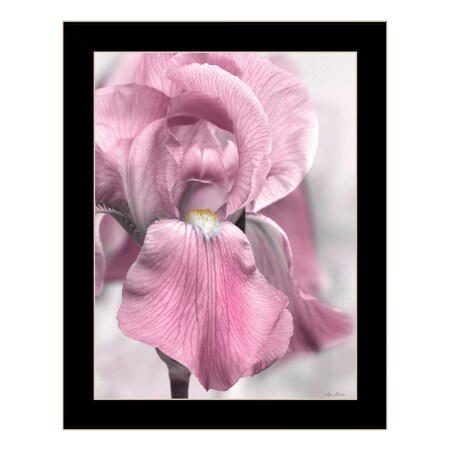 Homeroots Pink Iris Black Framed Print Wall Art 530021