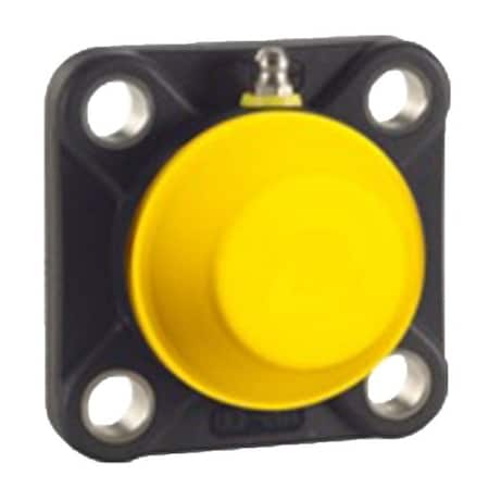 System Plast Bearing-Flanged UCFQ206-20                               UCFQ206-20