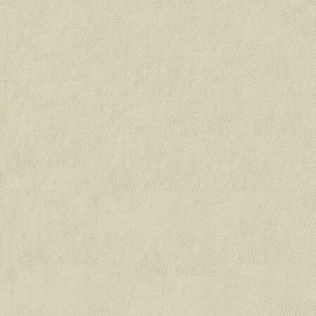 Abbeyshea Bone, Polyurethane Coated Faux Leather Fabric, 9 in L, 9 in W BALDW600M9X9