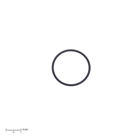 Bedford Precision Parts O-Ring Replaces Graco 162841 0-604