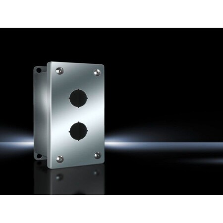 Rittal 304 Ss Pb Enclosure 2 X 22.5Mm 8017726