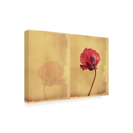 Trademark Fine Art Outdoor Canvas Art - Desislava Ignatova 'Its Raining Again' Wall Art for Patios, or Gardens 1X30119-OC2232WR