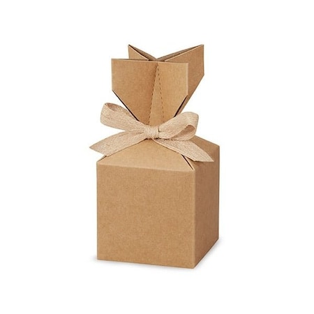 Nashville Wraps Kraft Cinch Gift Box, 3.5x3.5x7, 6PK 31557