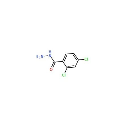 Ak Scientific 2, 4-Dichlorobenzhydrazide (5g), CAS 5814-06-2 6016AE-5g
