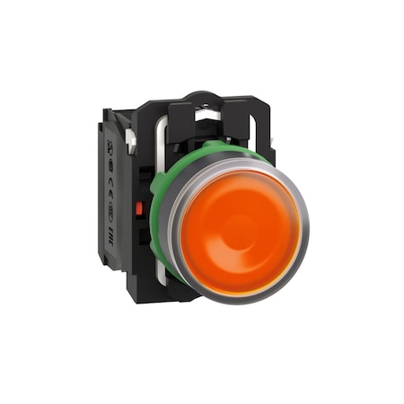 Schneider Electric Illuminated Push Button, Flush, Momentary Action, Not Applicable Release, Illuminated, Orange XB5AW35B5
