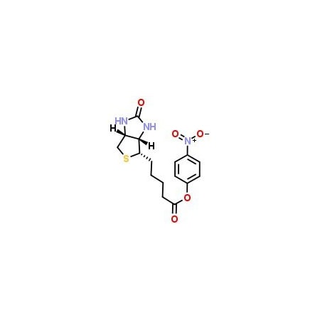 Ak Scientific BNP D-Biotin 4-nitrophenyl ester (1g), CAS 33755-53-2 B432-1g