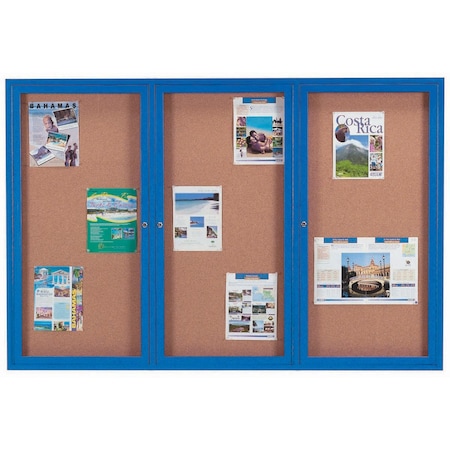 Aarco Illuminated Enclosed Bulletin Board w/ Blue Powder Coated Al Frame, 48''Hx72''W DCC4872-3RIB