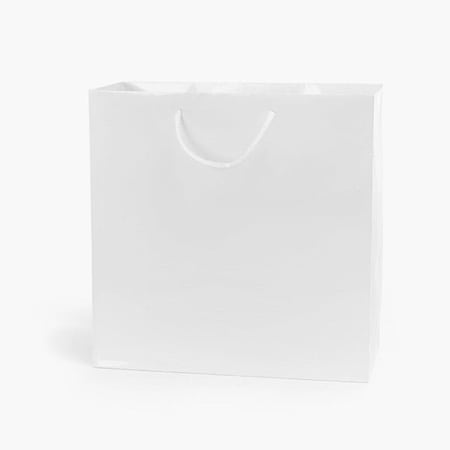 Nashville Wraps White Gloss Gift Bags, Jewel 6.5x3.5x6.5, 10PK GTJMWH