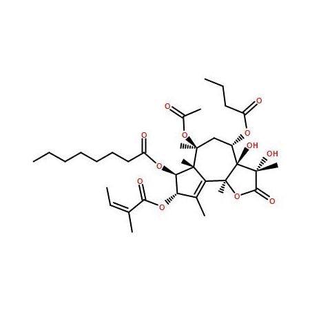 Ak Scientific Thapsigargin (100mg), CAS 67526-95-8 9122AJ-100mg