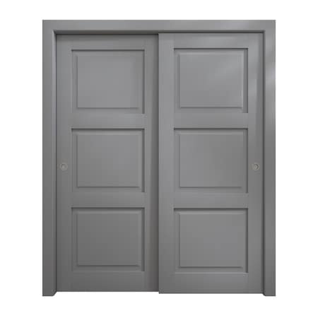 Sartodoors Sliding Closet Bypass Doors 84 x 84 inches, Ego 5010 Painted Grey Oak, Rails Hardware Set, Wood S EGO5010DBD-SEK-8484