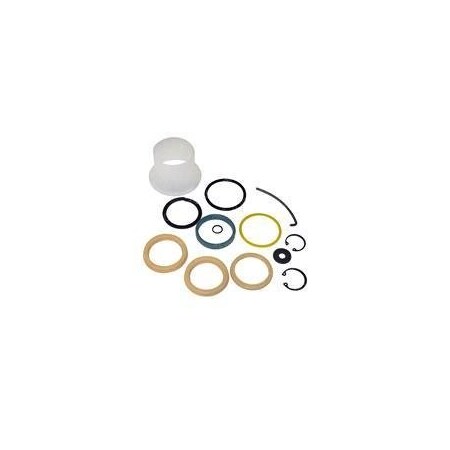 Cascade REPLACEMENT SEAL KIT, CYLINDER 422811