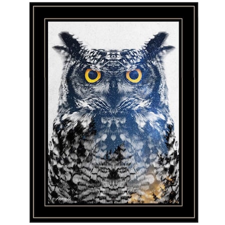 Homeroots Night Owl 3 Black Framed Print Wall Art 405103