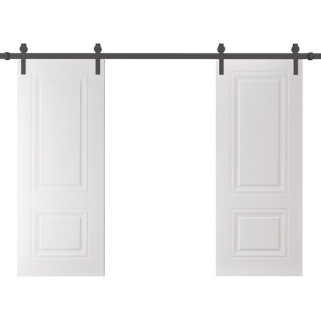 Sartodoors Double Barn Door 60 x 80 inches, BASIC 9772 White, 13FT Rail Track Set, Solid Panel Interior Door BASIC9772DB-B-SKIN-60